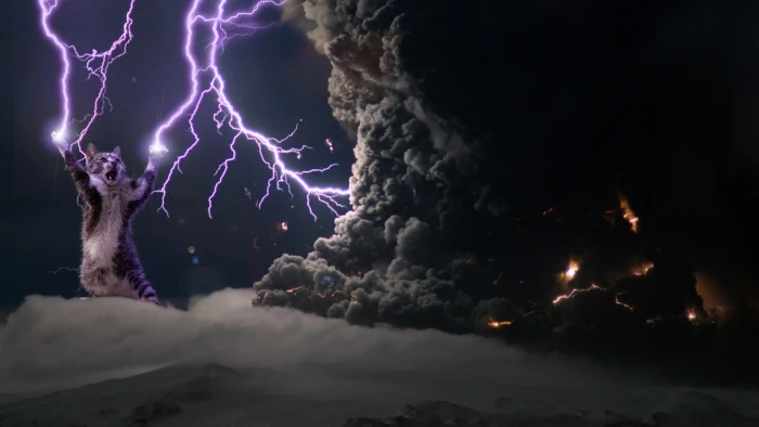 cat digital wallpaper dark humor art animals lightning 2k