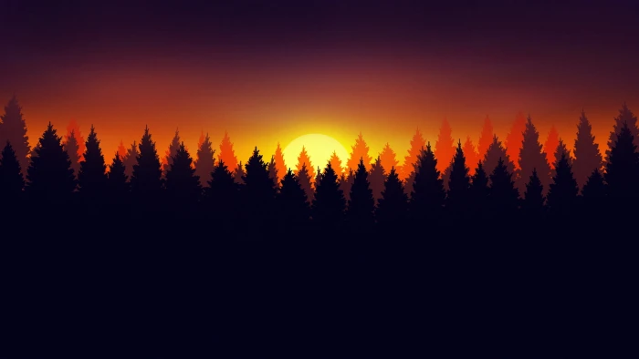 forest nature dark Sun artwork 2k