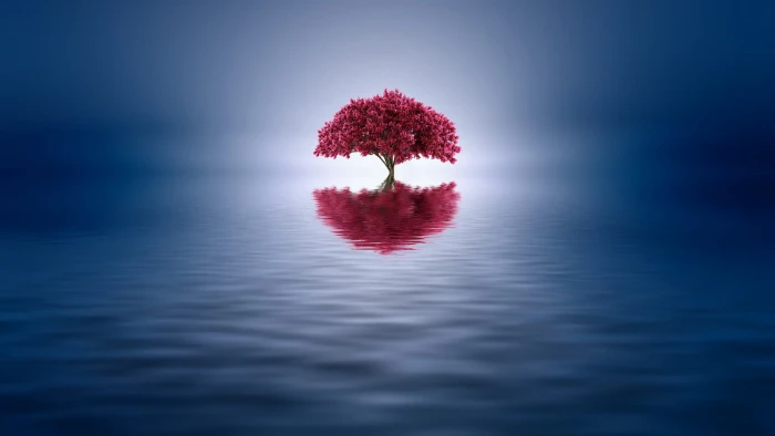 nature landscape trees water reflection digital art minimalism 2k
