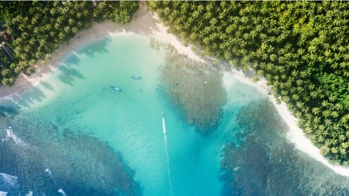 Palms Beach and Sea From Above Nature Scenery water high angle view