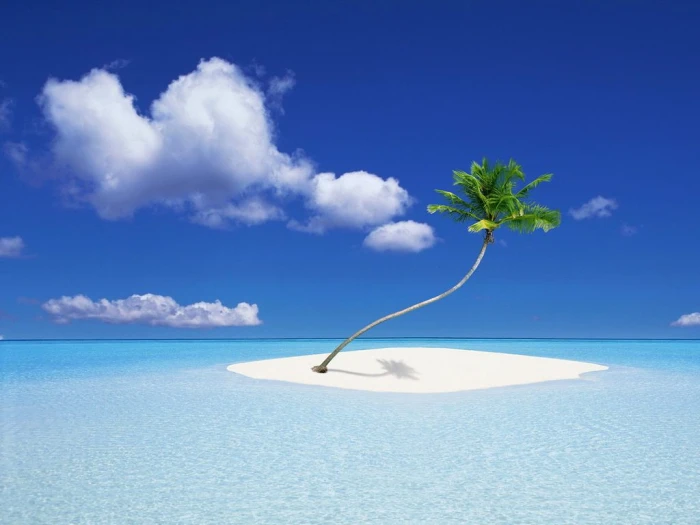 paradise beach sea water blue sky island tree