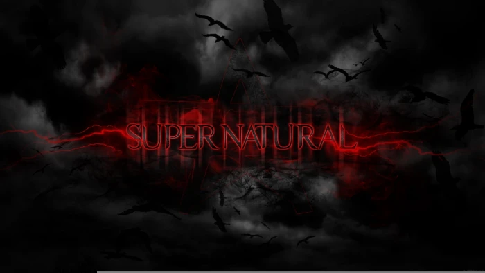 Super Natural digital wallpaper birds background black supernatural 2k