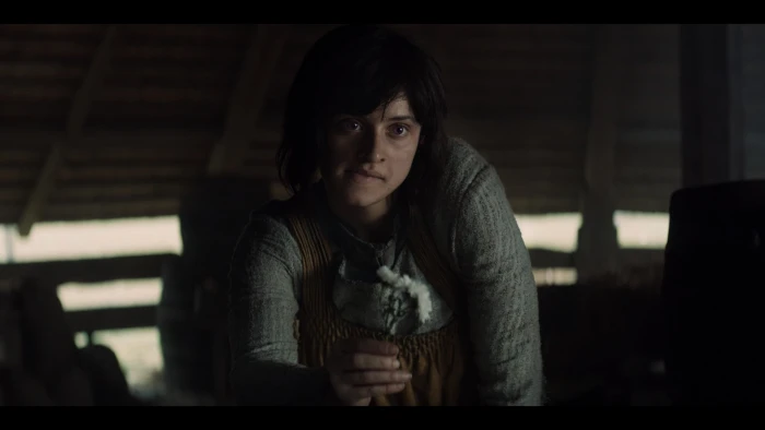 The Witcher TV Series Yennefer of Vengerberg white flowers 2k