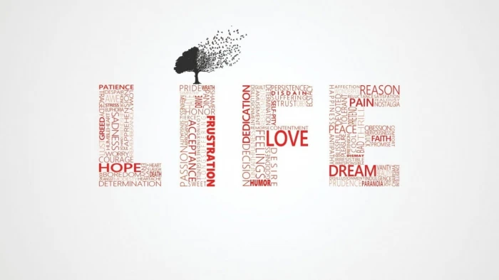 typography minimalism white background simple