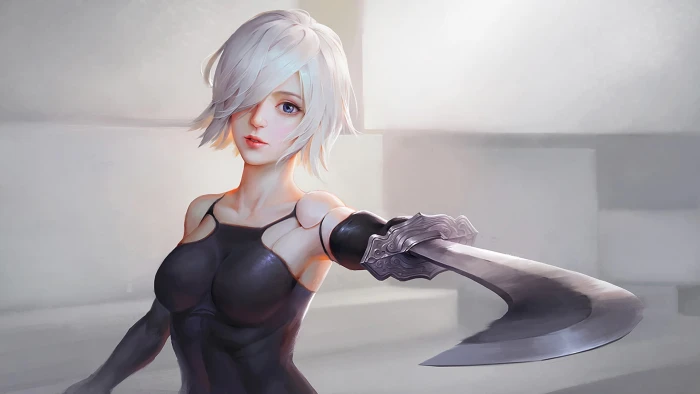 white haired woman holding sword wallpape Nier Automata women 2k