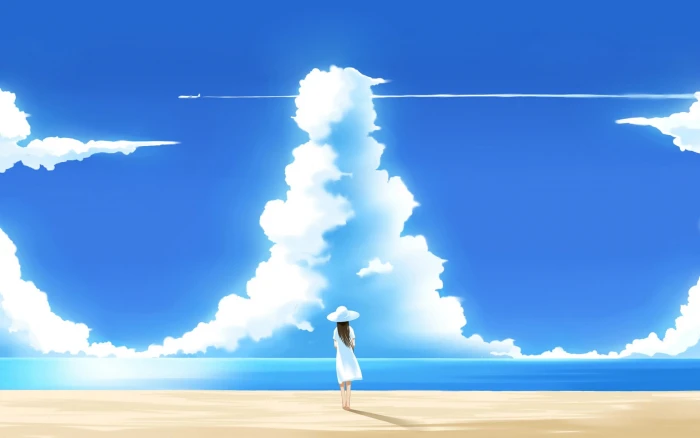 woman wearing hat and dress standing on seashore watching airplane wallpaper 2k