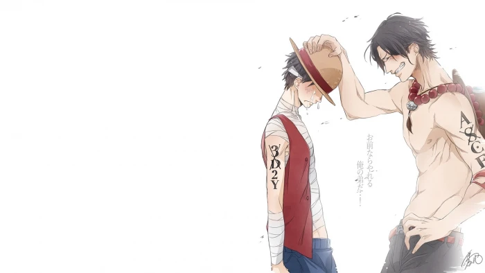 Anime One Piece Monkey D Luffy Portgas Ace 2k