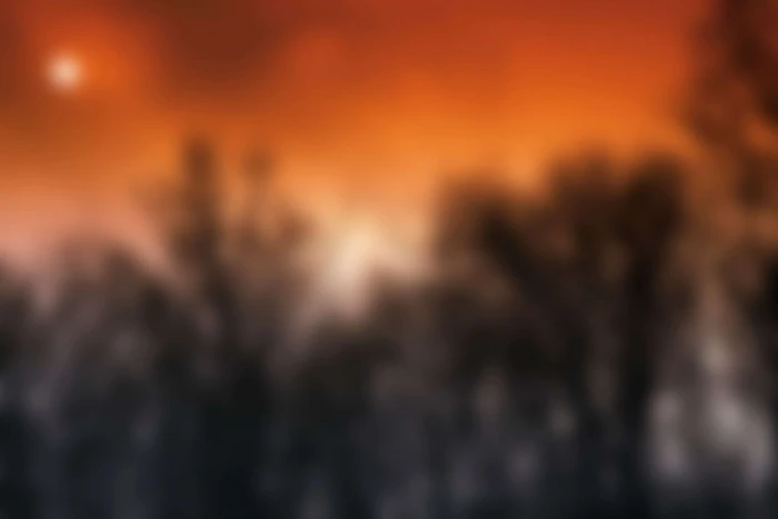 background blur blurred nature trees fire no people natural phenomenon 2k 4k