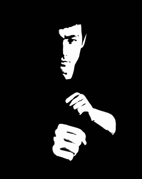 bruce lee black background Nature Water HD Art 2k