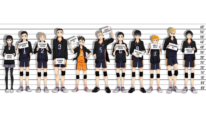 anime characters posing for mug shot digital wallpaper Haikyuu 2k