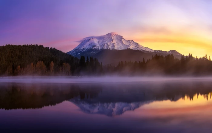 icy mountain and green pine tree scenery landscape mountains 2k