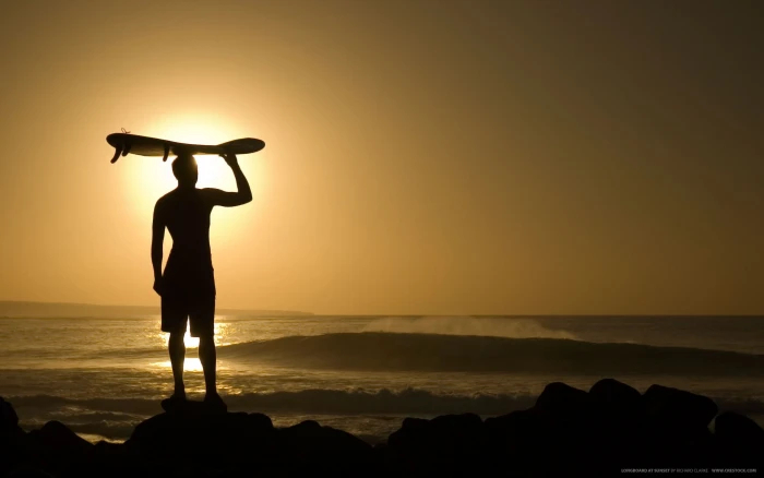 silhouette of man standing on rock beside beach during golden hour time 2k