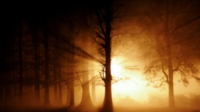 nature sun sunset sky sunrise silhouette landscape clouds 2k