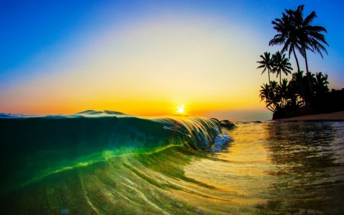 sea wave nature landscape sunlight morning beach waves