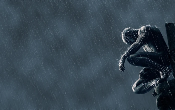 Spiderman Spider Man 3 wallpaer Hollywood Movies black rain
