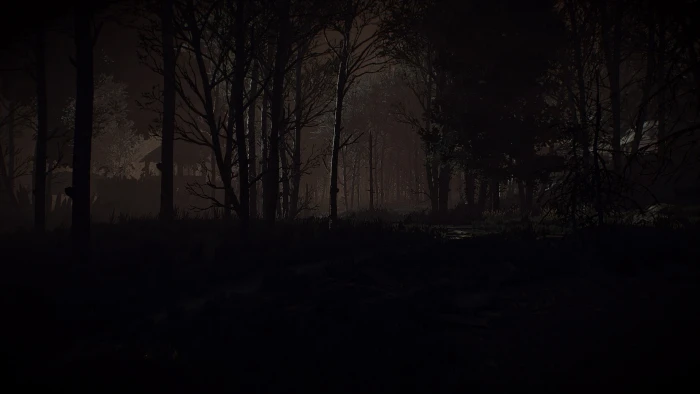 The Witcher 3 Wild Hunt video games dark forest brown 2k