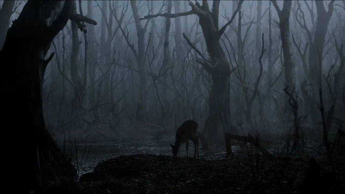 The Witcher TV Series nature 2k