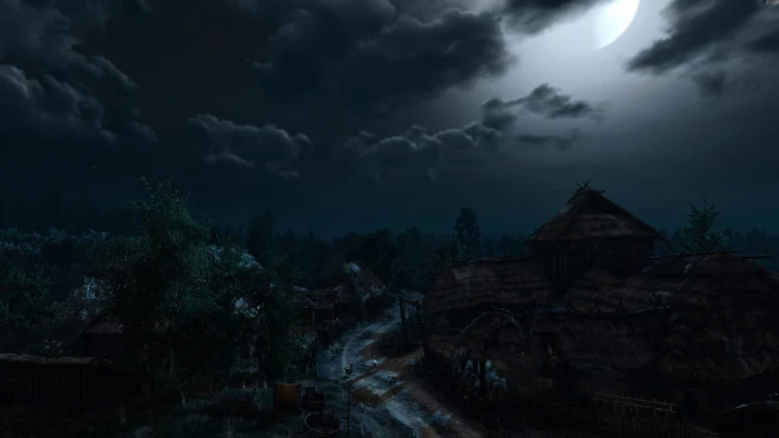 The Witcher 3 Wild Hunt night village video games 2k