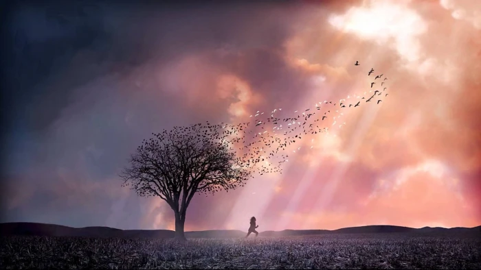 tree wallpaper artwork trees landscape nature sunlight clouds 2k