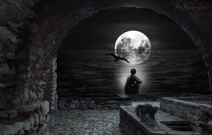 aves beach bird castle cat gato lua mar moon mulher 2k