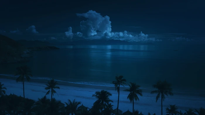 beach clouds nature night ocean palm trees sand sea 2k
