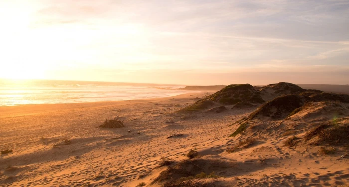 beach landscape dunes sea soft sand 2k