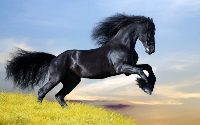 black and white horse figurine animals Dark Horse animal themes