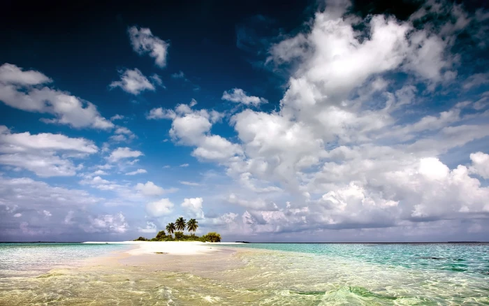 black and green island landscape water beach tropical palm trees 2k
