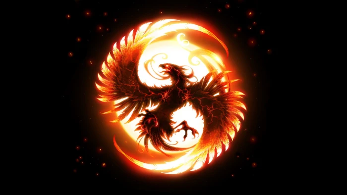 black phoenix illustration fire bird wings Natural Phenomenon 2k