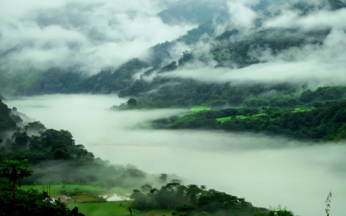 body of water nature landscape mountains spring mist forest 2k