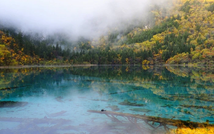 body of water between trees landscape nature lake mountains