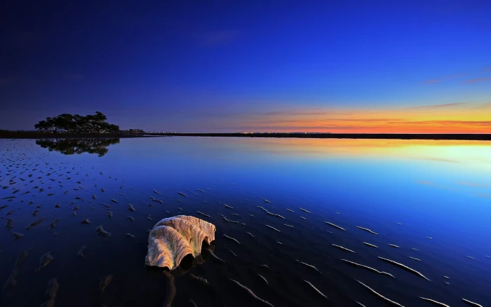 body of water illustration beach summer sky horizon scenics nature 2k