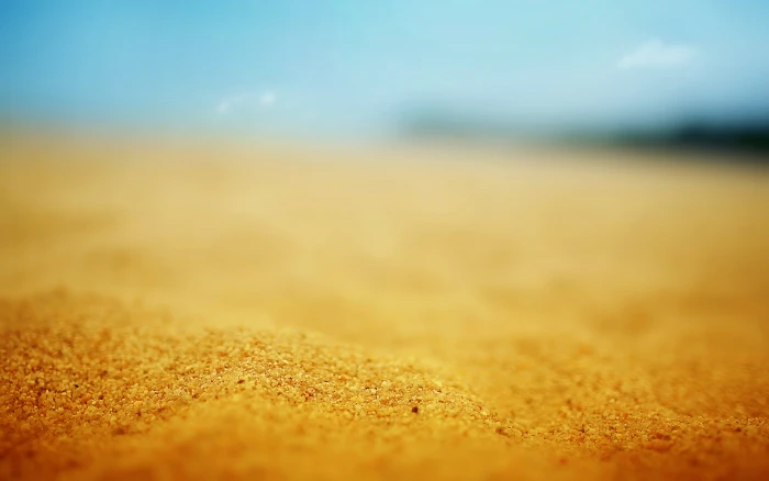 brown sand selective photography of beach macro 2k