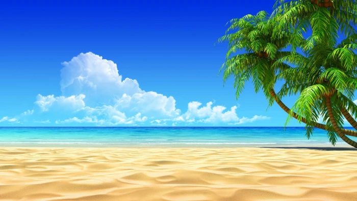 clouds sand palm trees beach sky landscape 2k