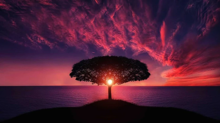 evening scenic atmosphere beautiful sea amazing dusk 2k