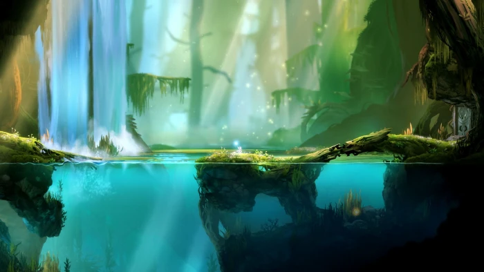 forest wallpaper and body of water during daytime illustration 2k