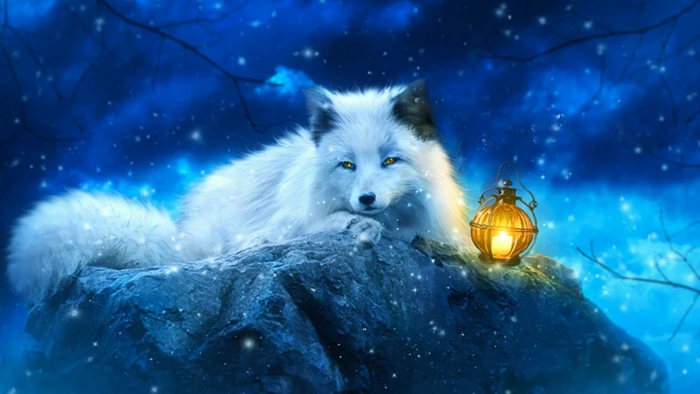 fox fantasy nature white lantern wildlife freezing 2k