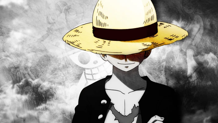 Anime One Piece one person headshot front view unrecognizable 2k
