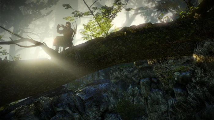 assassins flute iorweth kings sun the tree witcher 2k