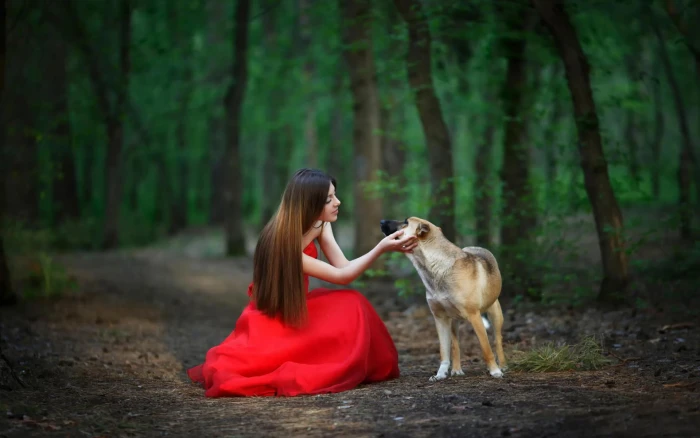 Red dress forest girl dog scenery 2k