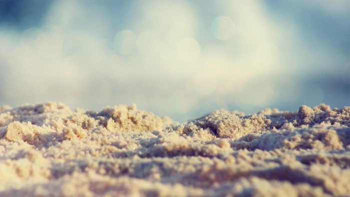 sand sea macro beach 2k