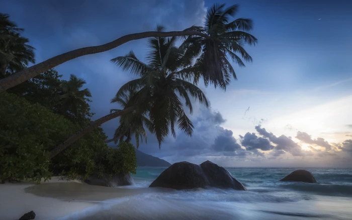 beach palm trees clouds water sky sea beauty in nature 2k