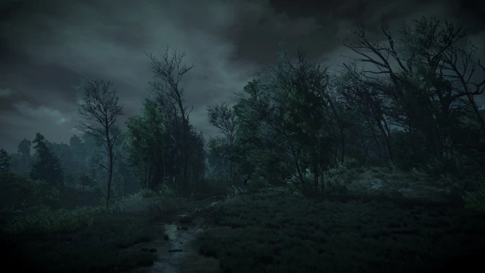 The Witcher 3 Wild Hunt video games tree plant forest 2k