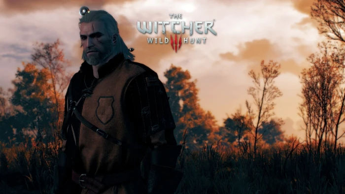 The Witcher Wild Hunt game 3 one person 2k