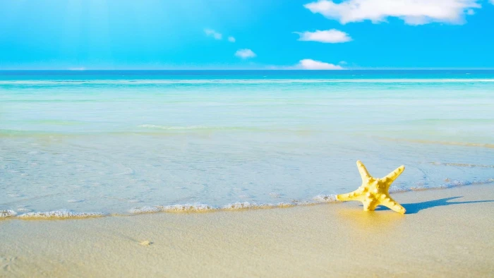 Summer Beach yellow starfish vacation sand nature and landscapes 2k