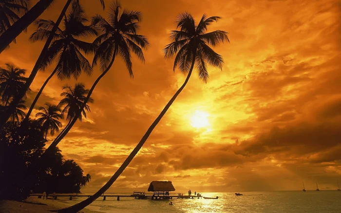 Tropical Sunset sunset on beach Nature Scenery beautiful nature wallpapers 2k