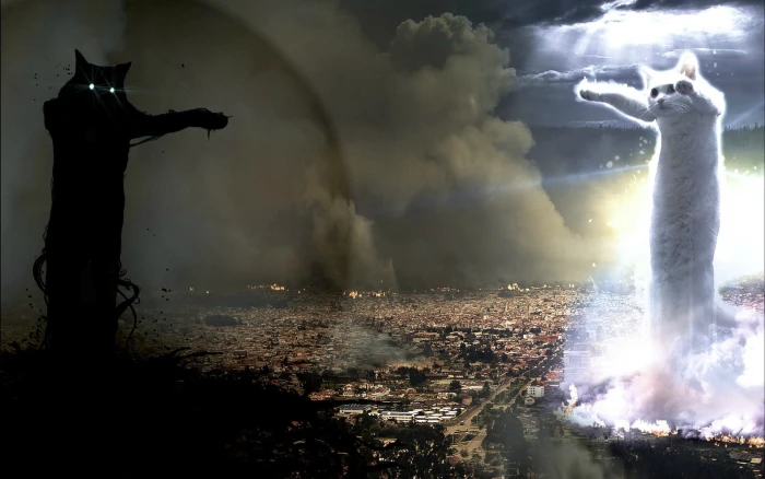 two black and white cats illustration animals memes city cityscape 2k