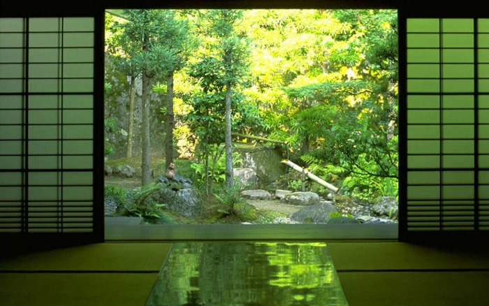two white Shoji screens zen nature forest plant window tree