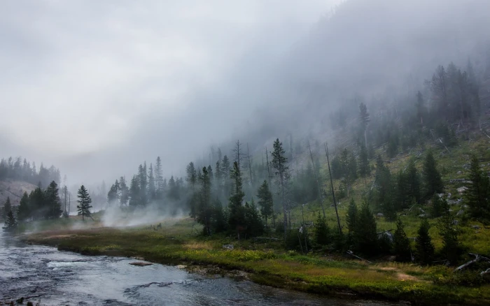 body of water surrounded with green trees landscape nature 2k