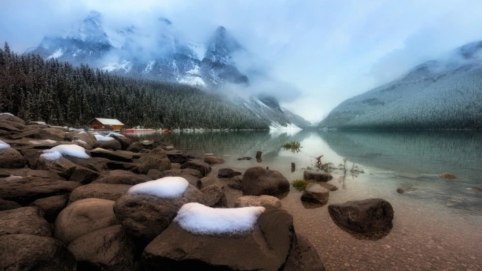 body of water nature landscape trees forest lake winter 2k